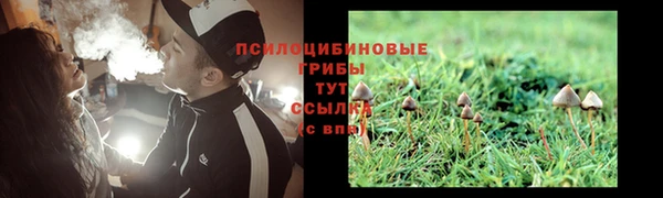 сатива Балабаново