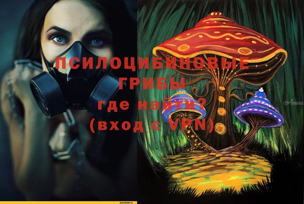 PSILOCYBIN Балахна
