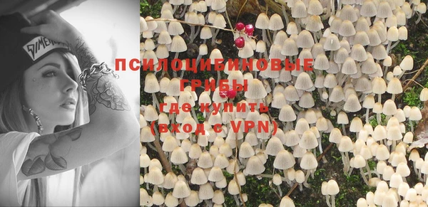 PSILOCYBIN Балахна