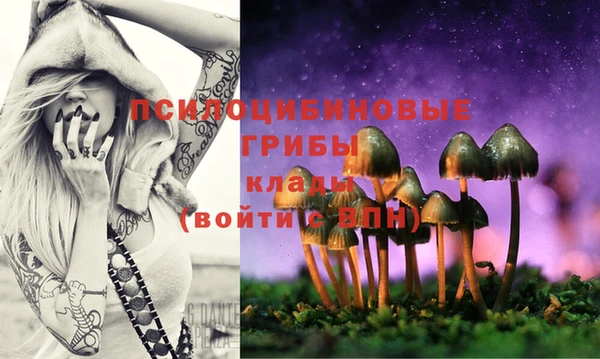 PSILOCYBIN Балахна