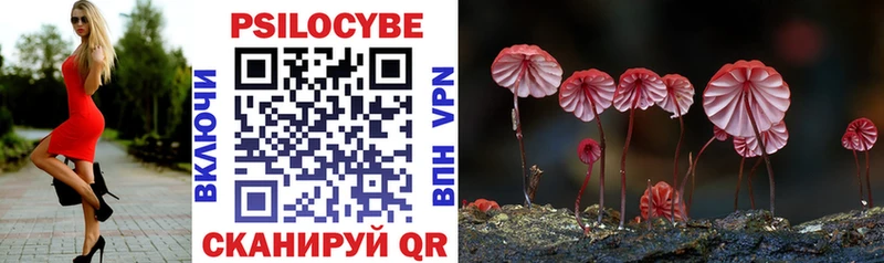 darknet состав Сретенск Псилоцибиновые грибы мицелий купить закладку